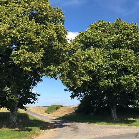Le Gite De Ballage Chemille-Sur-Deme Esterno foto