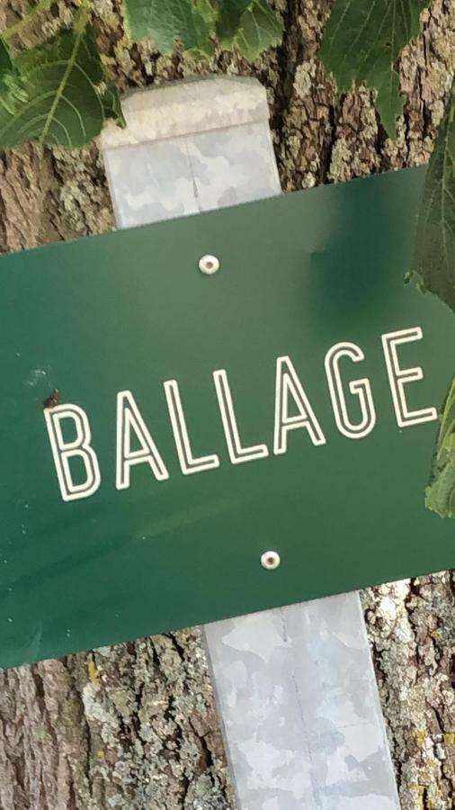 Le Gite De Ballage Chemille-Sur-Deme Esterno foto