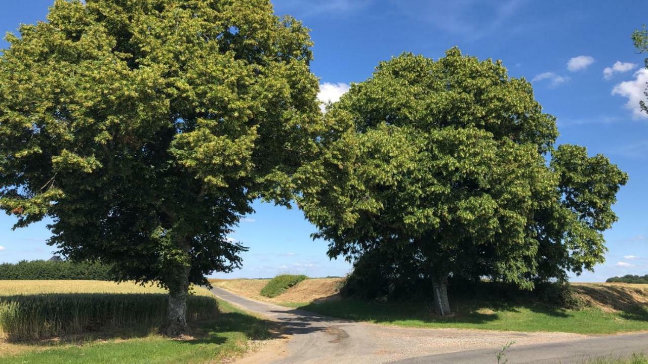 Le Gite De Ballage Chemille-Sur-Deme Esterno foto